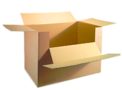 Containers en Carton